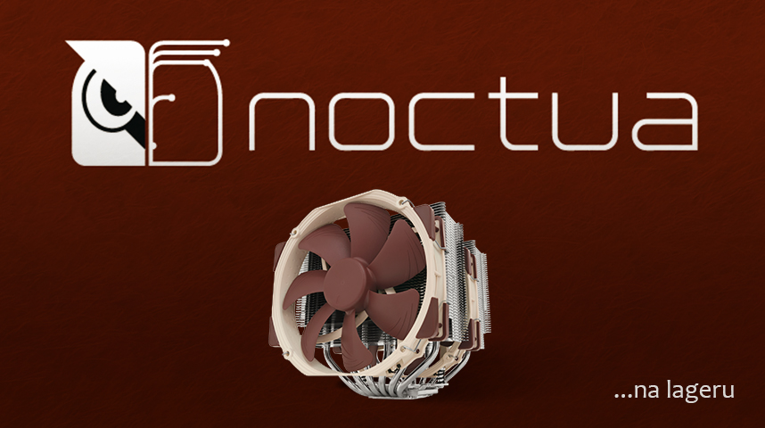 Noctua                                                                                                                                                                                                                                                         